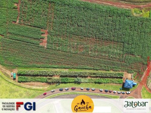 Dia-de-Campo-do-Laboratorio-de-Plantas-Daninhas-na-UFJ-68