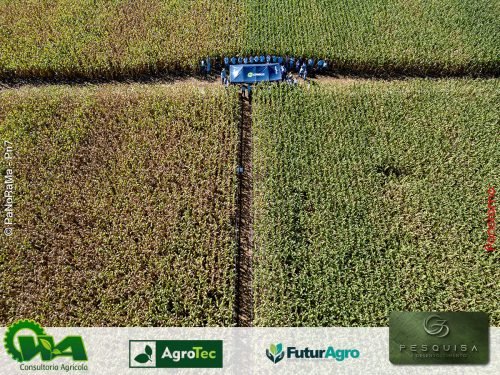 Encontro-Tecnico-da-G3-Agro-172 (1)