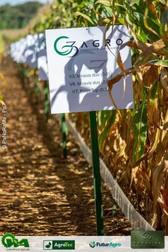 Encontro-Tecnico-da-G3-Agro-188 (1)