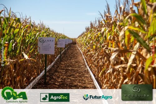 Encontro-Tecnico-da-G3-Agro-209 (1)