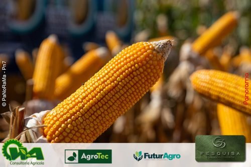 Encontro-Tecnico-da-G3-Agro-236 (1)