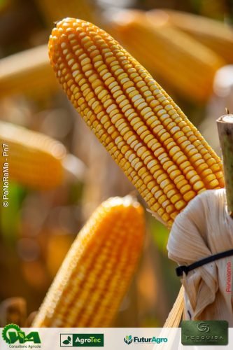 Encontro-Tecnico-da-G3-Agro-238 (1)