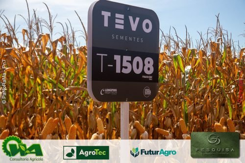 Encontro-Tecnico-da-G3-Agro-274 (1)