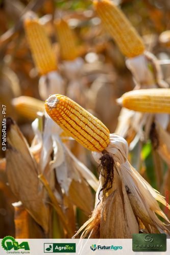 Encontro-Tecnico-da-G3-Agro-300 (1)