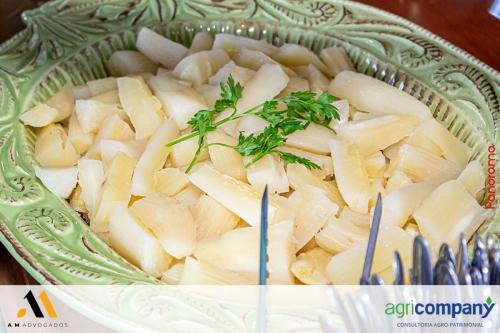 Escritorio-AeM-Advogados-e-AgriCompany-celebram-o-encerramento-do-ano-167