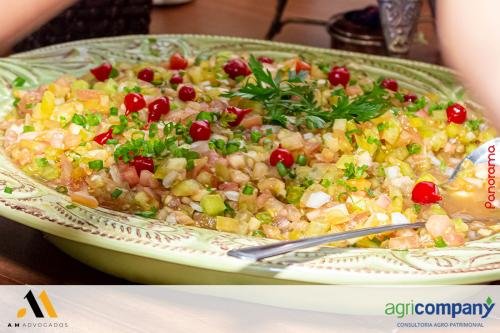 Escritorio-AeM-Advogados-e-AgriCompany-celebram-o-encerramento-do-ano-169