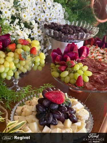 Ford-Experience-agita-Jatai-2