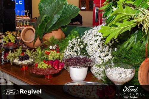 Ford-Experience-agita-Jatai-85