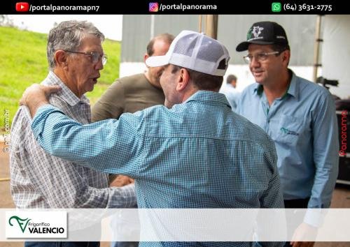 Frigorifico-Valencio-144