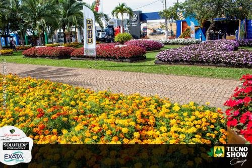 Giro-na-Tecnoshow-COMIGO-2025-17