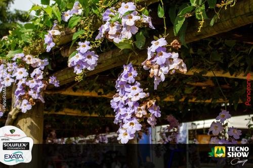 Giro-na-Tecnoshow-COMIGO-2025-9