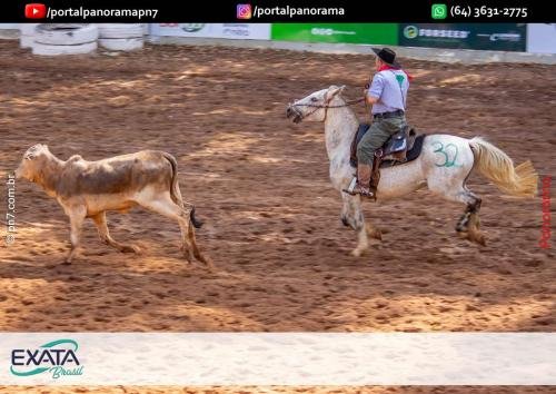 IMG 9547 (1) (1) (1)