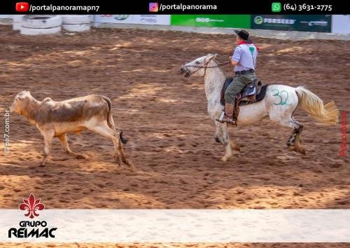 IMG 9547 (1) (1) (1) (1)