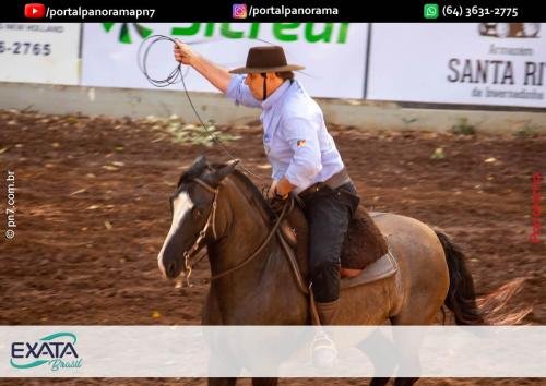 IMG 9550 (1) (1) (1)