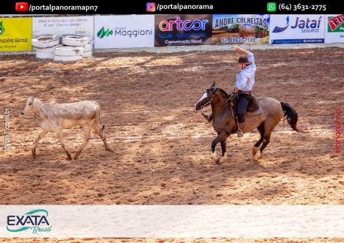 IMG 9551 (1) (1) (1)