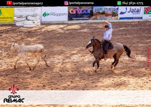 IMG 9551 (1) (1) (1) (1)