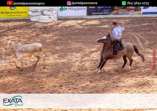 IMG 9552 (1) (1) (1)