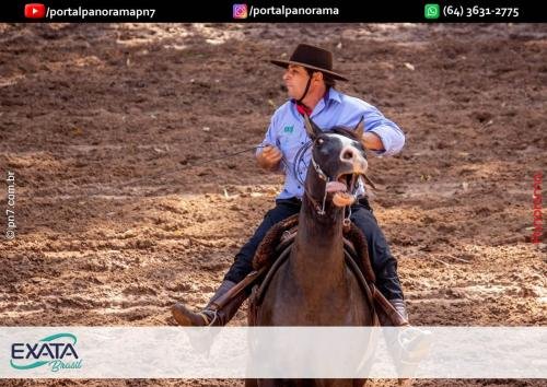 IMG 9553 (1) (1) (1)