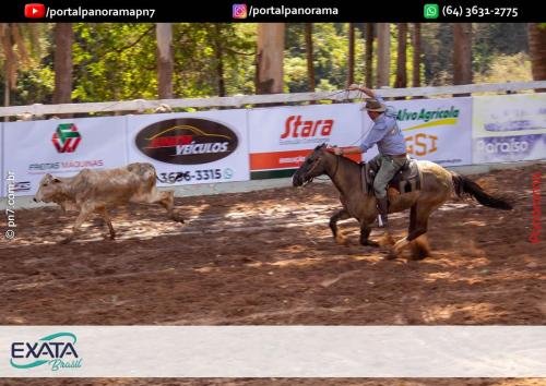 IMG 9556 (1) (1) (1)