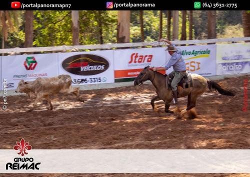 IMG 9556 (1) (1) (1) (1)