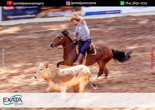 IMG 9561 (1) (1) (1)