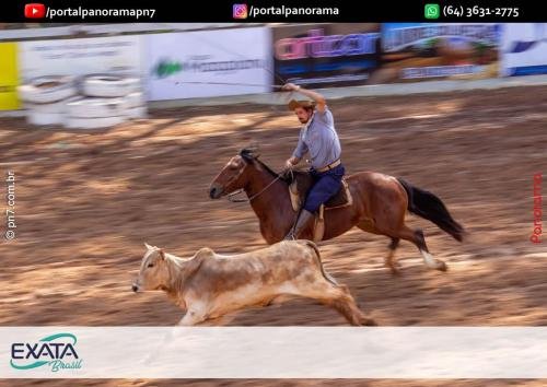 IMG 9562 (1) (1) (1)