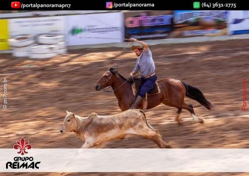 IMG 9562 (1) (1) (1) (1)