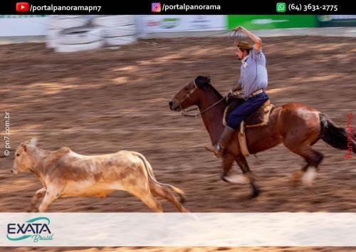 IMG 9567 (1) (1) (1)