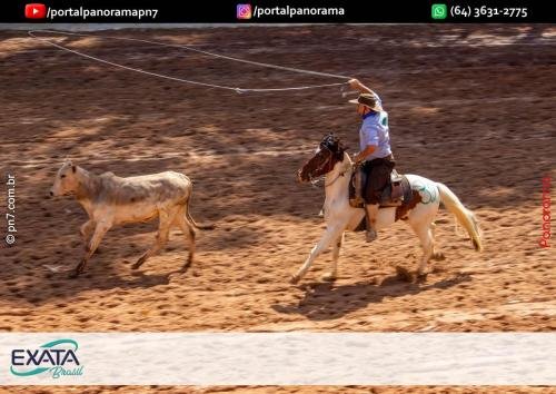 IMG 9571 (1) (1) (1)