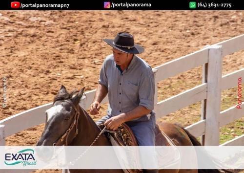 IMG 9584 (1) (1) (1)