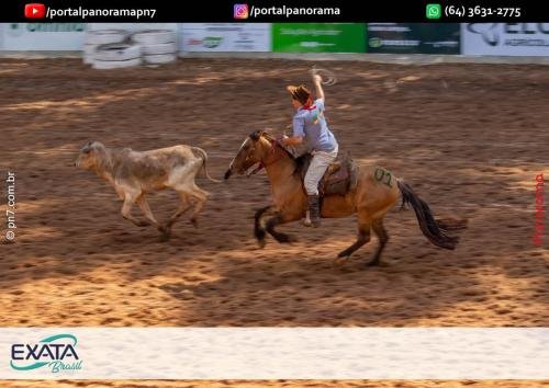 IMG 9587 (1) (1) (1)