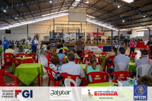 Leilao-Contra-o-Cancer-68