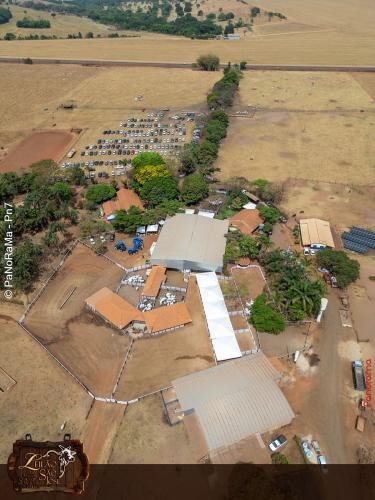 Leilao-Estancia-Sao-Jose-7