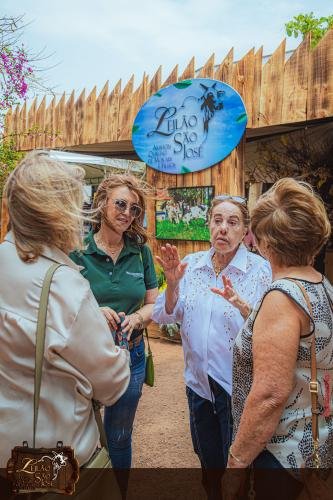 Leilao-Estancia-Sao-Jose-72