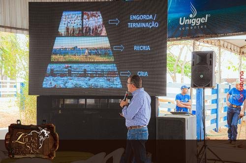 Leilao-Estancia-Sao-Jose-77