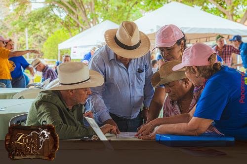 Leilao-Estancia-Sao-Jose-80