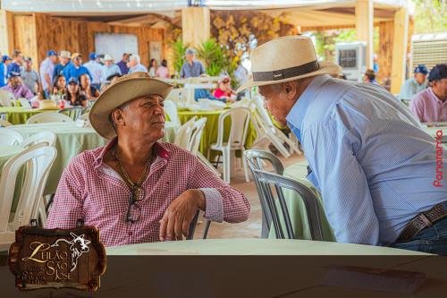 Leilao-Estancia-Sao-Jose-90