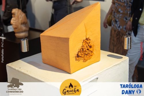 MAC-celebra-30-anos-com-exposicao-especial-7