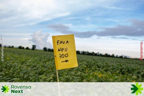 Noite-de-Campo-Evolution-84