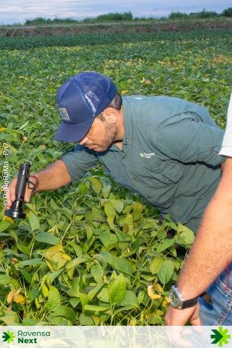 Noite-de-Campo-Evolution-96