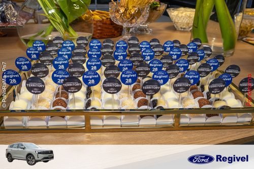 Novo-Ford-Territory-Regivel-Jatai-156