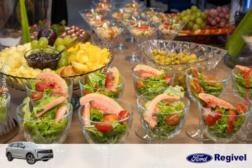 Novo-Ford-Territory-Regivel-Jatai-2