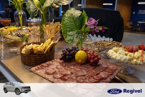 Novo-Ford-Territory-Regivel-Jatai-4