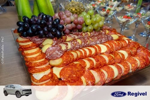 Novo-Ford-Territory-Regivel-Jatai-6