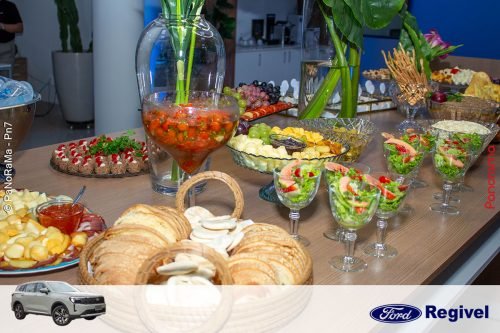 Novo-Ford-Territory-Regivel-Jatai-62