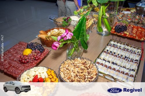 Novo-Ford-Territory-Regivel-Jatai-90