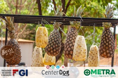 Panorama-Churrascada-do-Brasa-de-Chao-2024-A-112