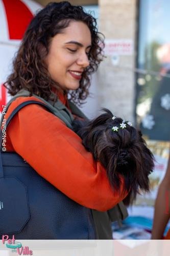 Pet-Ville-6