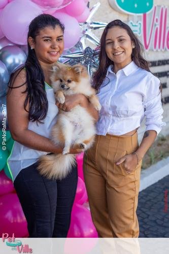 Pet-Ville-91