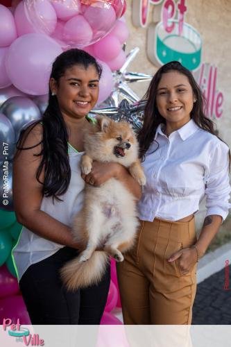 Pet-Ville-92